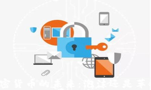 
加密货币的未来：泡沫还是革命？