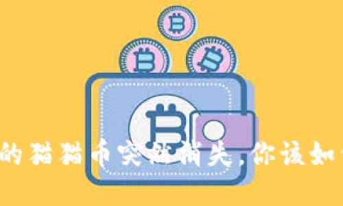 钱包里的猫猫币突然消失，你该如何应对？