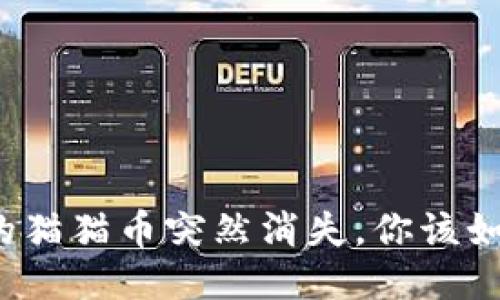 钱包里的猫猫币突然消失，你该如何应对？