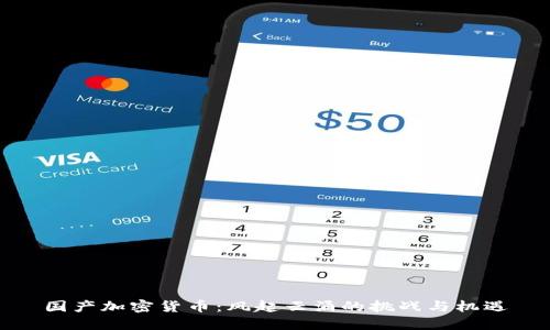 国产加密货币：风起云涌的挑战与机遇