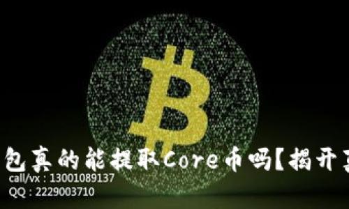 TP钱包真的能提取Core币吗？揭开真相！