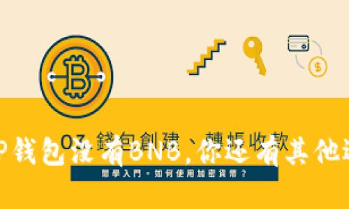 小心！TP钱包没有BNB，你还有其他选择吗？