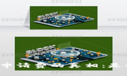 支付加密货币申请费的真相：是机遇还是陷阱？