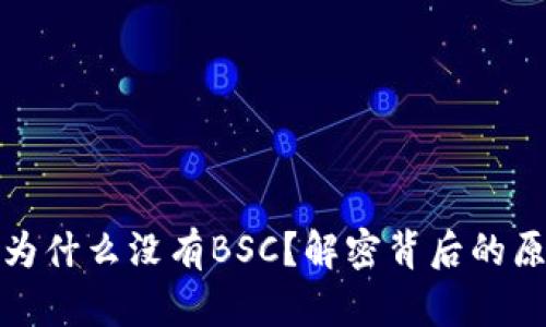 TP钱包电脑版为什么没有BSC？解密背后的原因与解决方案