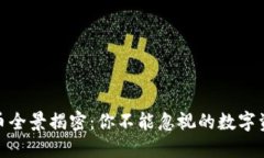 加密货币全景揭密：你不