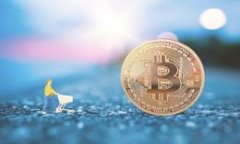   马斯克加密货币：从神话