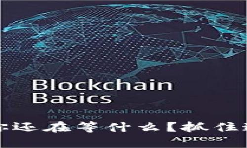 美国数字加密货币：你还在等什么？抓住这个新兴市场的机会！