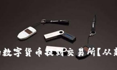 如何轻松将TP钱包中的数字货币提到交易所？从新手到高手的全面指南！