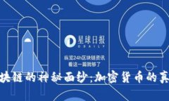 揭开区块链的神秘面纱：