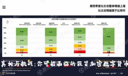 真相与挑战：你可能面临的假冒加密数字货币