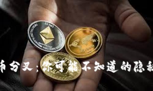 异地加密货币分叉：你可能不知道的隐秘挑战与机遇