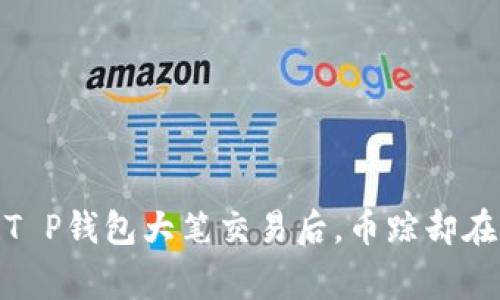 警惕！T P钱包大笔交易后，币踪却在何处？