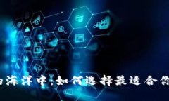 在加密货币的海洋中：如