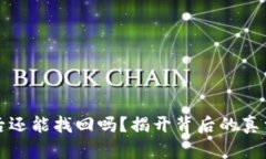 TP钱包被盗后还能找回吗？