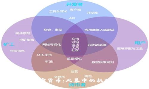 香港加密货币：风暴中的机遇与挑战