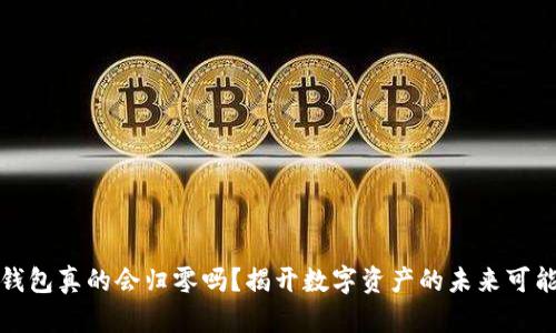 TP钱包真的会归零吗？揭开数字资产的未来可能性