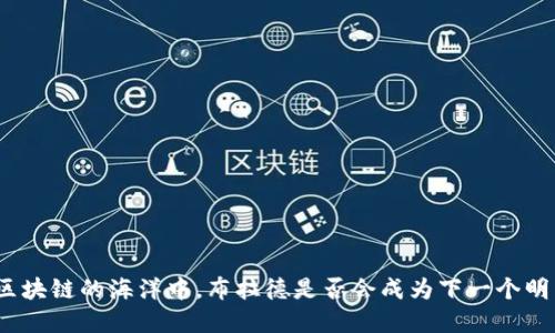 在区块链的海洋中，布拉德是否会成为下一个明星？