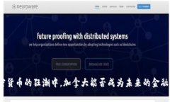 在加密货币的狂潮中，加