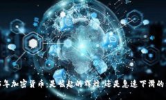 2025年加密货币：是崛起的