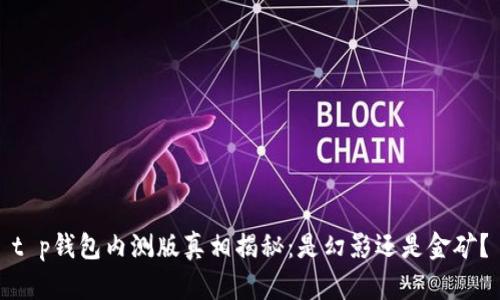 t p钱包内测版真相揭秘：是幻影还是金矿？