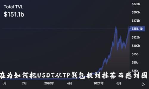 你还在为如何把USDT从TP钱包提到抹茶而感到困惑吗？