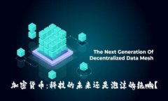 加密货币：科技的未来还是泡沫的绝响？