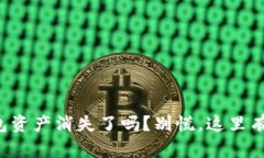你的TP钱包资产消失了吗？