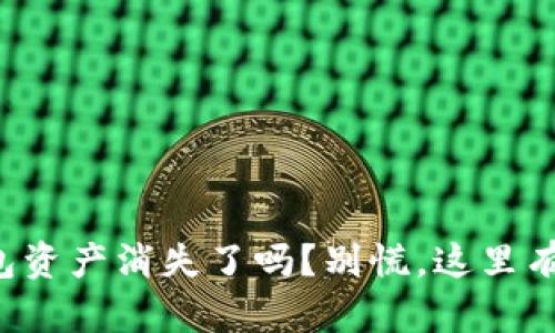 你的TP钱包资产消失了吗？别慌，这里有解决方案！