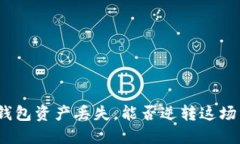 : TP钱包资产丢失，能否逆