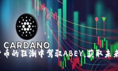 如何在加密货币的狂潮中