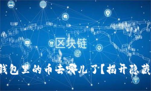 你的TP钱包里的币去哪儿了？揭开隐藏的真相！