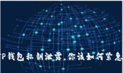 如果TP钱包私钥泄露，你该