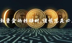 在使用TP钱包进行支付后，