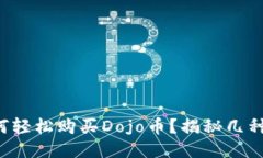 TP钱包如何轻松购买Dojo币