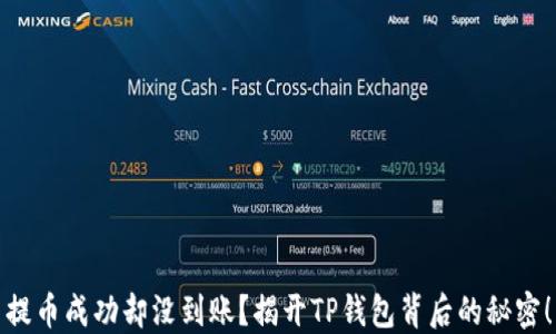 
提币成功却没到账？揭开TP钱包背后的秘密！