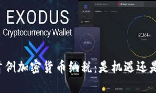 美国首例加密货币纳税：是机遇还是挑战？