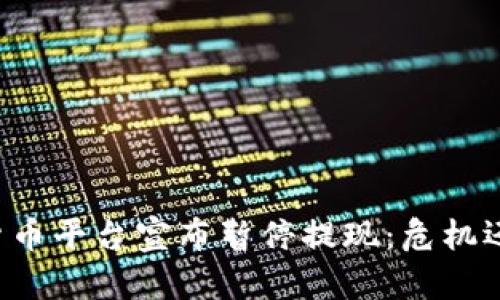 当加密货币平台宣布暂停提现：危机还是契机？