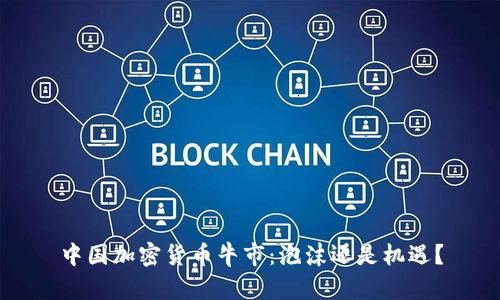 中国加密货币牛市：泡沫还是机遇？