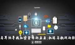 在马耳他寻找加密货币的未来：机遇与挑战的较