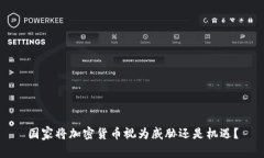 国家将加密货币视为威胁