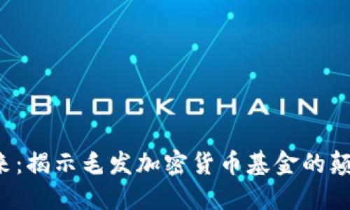 投资未来：揭示毛发加密货币基金的颠覆之路！