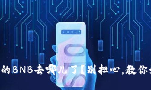 你的TP钱包里的BNB去哪儿了？别担心，教你如何快速找回！