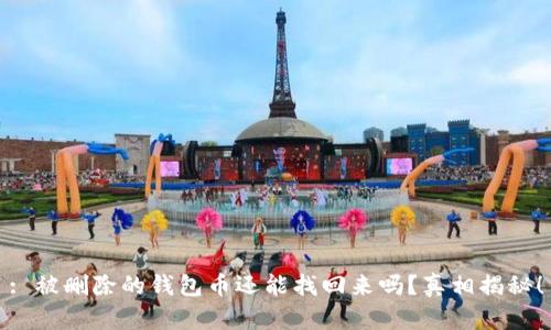 : 被删除的钱包币还能找回来吗？真相揭秘！