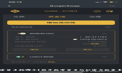 加密货币挖哪个？揭开数字货币的秘密与投资争议