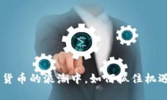 在FISA加密货币的浪潮中，