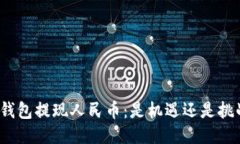 TP钱包提现人民币：是机遇