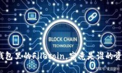 TP钱包里的Filecoin，究竟是