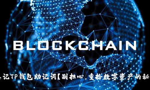 忘记TP钱包助记词？别担心，重拾数字资产的秘籍