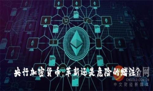 央行加密货币：革新还是危险的赌注?