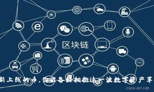 TP钱包新上线的币，你准备好拥抱这一波数字资产革命了吗？